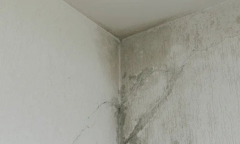 water-damage-repair
